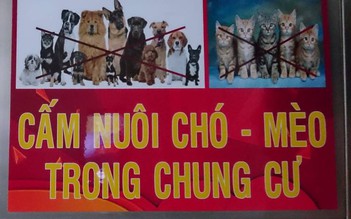 Tranh cãi chuyện nuôi chó, mèo ở chung cư: 'Cuộc chiến' không hồi kết