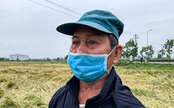 Mưa dị thường tiếp tục 'làm khổ' nông dân Thừa Thiên - Huế