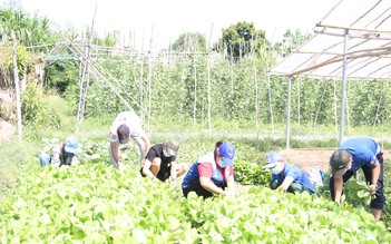 Tuổi trẻ Kon Tum quyên góp hàng chục tấn nông sản cho TP.HCM