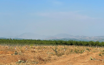 Chủ đất ngỡ ngàng khi lô đất của mình bị 'cò' phân lô, rao bán