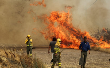 Nắng nóng kỷ lục làm chảy đường băng sân bay Anh, cháy rừng dữ dội khắp nam Âu