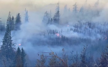 Tây Bắc nước Mỹ bị bao phủ trong khói cháy rừng, người dân khó thở