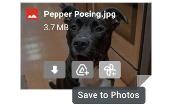 Lưu ảnh đính kèm trong thư Gmail trực tiếp vào Google Photos