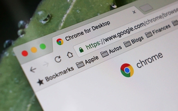 Khám phá tính năng bảo mật hữu ích trên Chrome