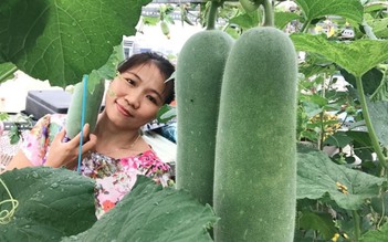 Mùa dịch không phải đi chợ nhiều nhờ vườn nông sản trên mái tôn xanh mướt