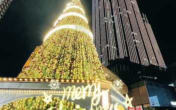 Những cây thông Giáng sinh 'khổng lồ' khiến người trẻ mê mẩn