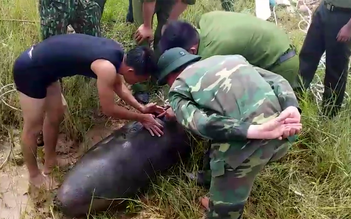 Trục vớt thành công quả bom 'khủng' dưới sông Lam