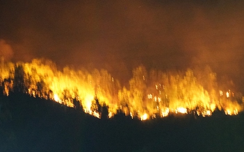 Trắng đêm dập tắt vụ cháy rừng trên núi Nầm ở Hà Tĩnh