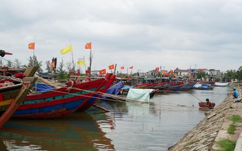 Hà Tĩnh cấm biển, người dân chặt hạ cây cối tránh bão số 8