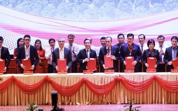 7 sàn thương mại điện tử tham gia tiêu thụ vải thiều Bắc Giang