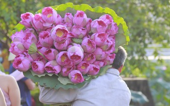 Sen Hồ Tây mất mùa, giá tăng cao khách vẫn ‘xếp hàng' mua hoa