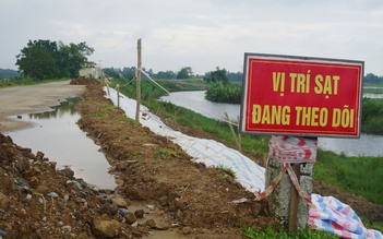 Đề nghị Thanh Hóa ban bố tình huống khẩn cấp với đê sông Mã