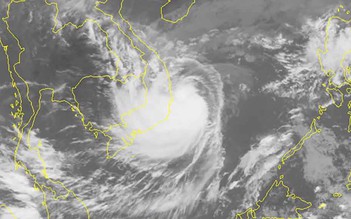 Dự báo bão số 6: Tâm bão gió mạnh giật cấp 13, cách Bình Định-Khánh Hòa 170 km