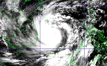 Bão số 9 vào đất liền gió cấp 12 thì 'sức tàn phá cực kỳ khủng khiếp'