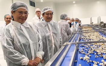 Tập đoàn TH xây dựng nhà máy chế biến hoa quả nghìn tỉ tại Sơn La