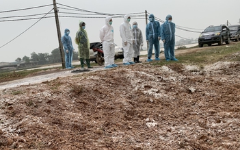 Cận cảnh ổ cúm A/H5N6 ở thủ phủ chăn nuôi gia cầm Hà Nội
