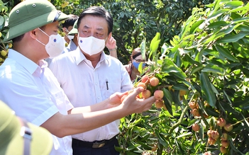 Bộ trưởng Lê Minh Hoan: Nền nông nghiệp mù mờ dẫn đến phải giải cứu nông sản