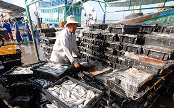 Nếu EC 'phạt' thẻ đỏ, thủy sản Việt Nam mất thị trường xuất khẩu 480 triệu USD