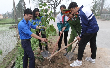 Bắc Ninh duyệt chi trồng 60.350 cây xanh đường tỉnh, quốc lộ