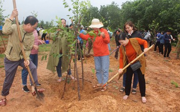 Quảng Ngãi: Nhiều địa phương đồng loạt tổ chức 'Tết trồng cây'