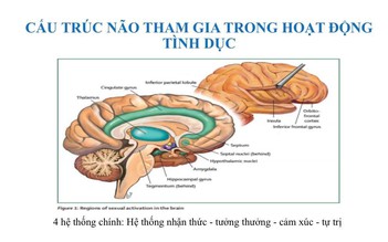 Xu hướng tình dục quá mức được xem là rối loạn sức khỏe tâm thần