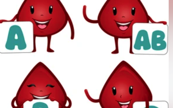 Ngày mới với tin tức sức khỏe: Truyền nhầm nhóm máu, cơ thể phản ứng thế nào?