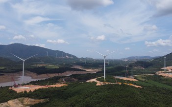 Nhiều dự án điện gió Quảng Trị bị 'điểm mặt' chưa bảo vệ môi trường tốt