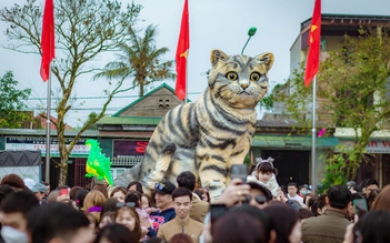 Mùng 6 Tết, ‘hoa hậu Mèo’ ở Quảng Trị vẫn chưa hết nóng