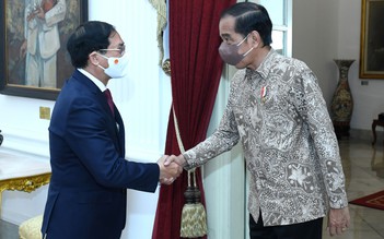 Việt Nam đề nghị Indonesia hạn chế phòng vệ thương mại với hàng xuất khẩu