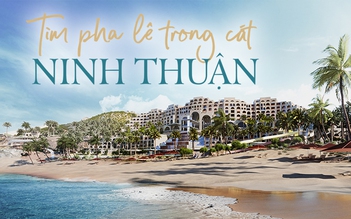 Tìm pha lê trong cát Ninh Thuận