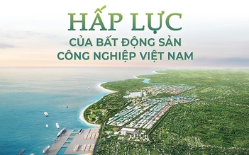 Hấp lực của bất động sản công nghiệp Việt Nam