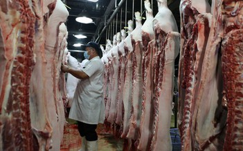 Dự báo 2 kịch bản giá thịt lợn, lúa gạo tăng, ảnh hưởng đến CPI