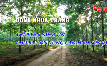 Dòng nhựa trắng thắp lên niềm tin cho bà con vùng cao Sơn La