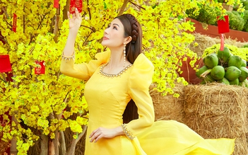 Hoa hậu Doanh nhân Đào Ái Nhi khoe nhan sắc cực phẩm với áo dài