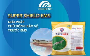 Super Shield EMS - Giải pháp chủ động bảo vệ trước EMS