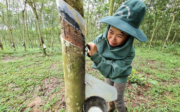 VRG quyết tâm cao hoàn thành tốt nhiệm vụ chính trị