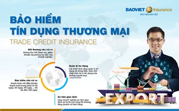 Bảo hiểm Bảo Việt và VCCI tổ chức hội thảo quản lý rủi ro tín dụng