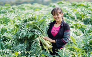 Chuyện làm giàu của ‘công nhân dược liệu’ H’Mông