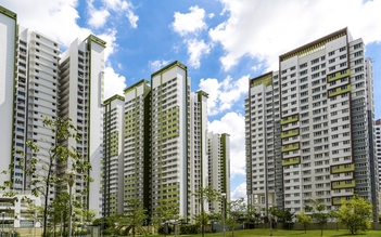 VinCity kiến tạo không gian sống chuẩn Singapore và hơn thế nữa