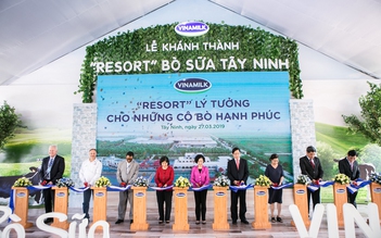 Cận cảnh resort bò sữa lớn nhất Việt Nam của Vinamilk tại Tây Ninh