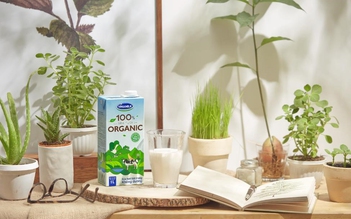 Những điều cần biết về sữa tươi organic