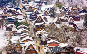 Ưu đãi hấp dẫn cho tour du lịch Nhật Bản mùa đông
