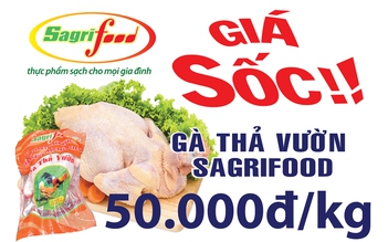 Thịt gà thả vườn chỉ 50.000 đồng/kg