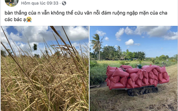 'Sút tung lưới Úc', Huỳnh Như bất lực nhìn ruộng nhà Trà Vinh ngập mặn