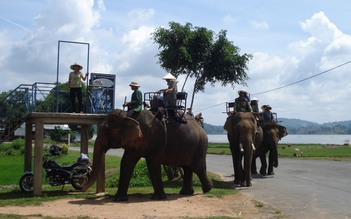 Đắk Lắk: Hoàn thành phương án hướng tới không tổ chức du lịch cưỡi voi