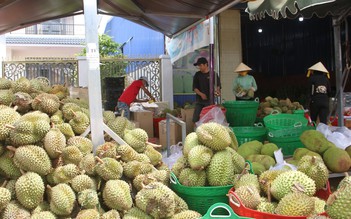 Hoa hậu, người mẫu và khinh khí cầu tham gia lễ hội sầu riêng