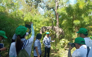 Phê duyệt 55 tỉ để chấm dứt cảnh voi 'cõng' người ở Đắk Lắk