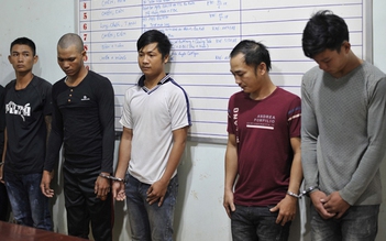 Nhóm 'bảo kê' sầu riêng bị công an bắt giữ