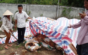 Phạt gần 1 tỉ đồng công ty chôn chất thải không đúng quy định