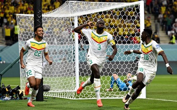Kết quả tuyển Ecuador 1-2 Senegal, World Cup 2022: 'Sư tử Teranga' sẽ còn gầm vang